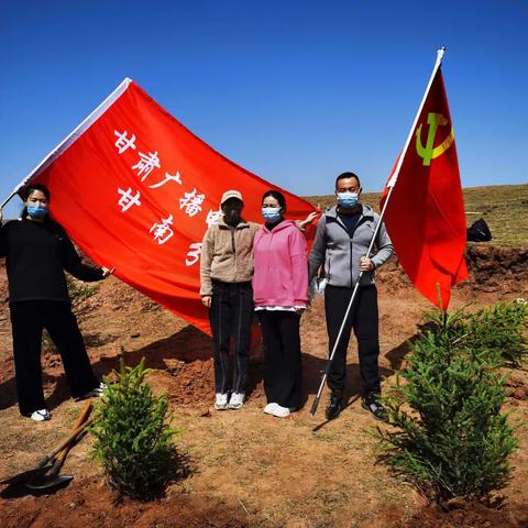 植树造林，共建绿色家园