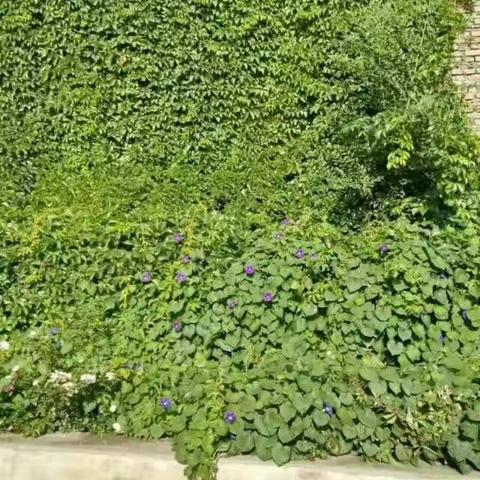 守望，让书香满园