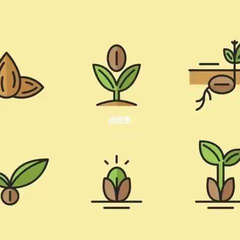 宾阳县中华镇中心幼儿园2022年春学期大一班绿豆发芽记