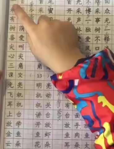 停课不停学   北小2019届2班语文小课堂学习（40）