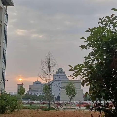 洛阳市偃师求实学校八（2）班一周纪实