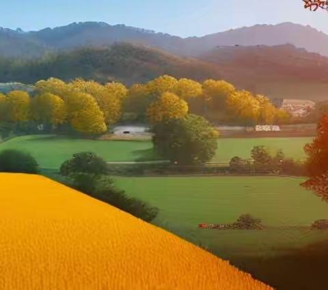 散文诗《醉意秋色》