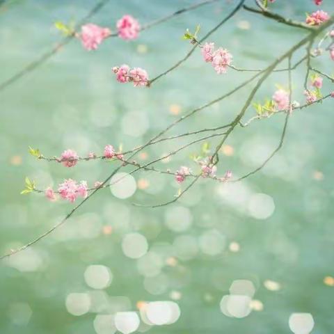 桃李吐新芽 春暖访农家