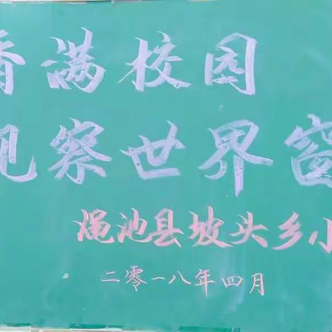 四月书香满校园 心灵观察世界窗 ――坡头乡小开展读书日读书活动