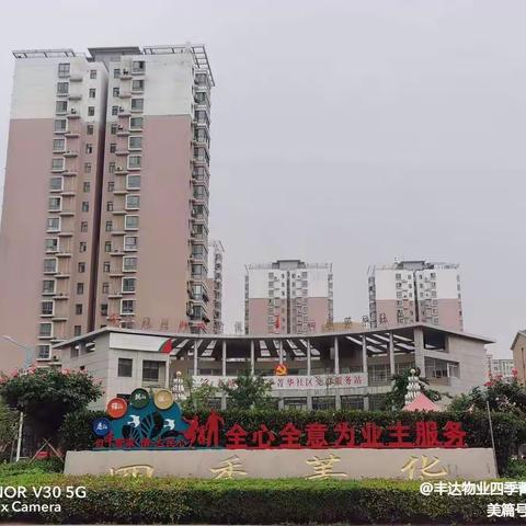 四季菁华社区四季菁华物业服务提升整顿第二十三篇