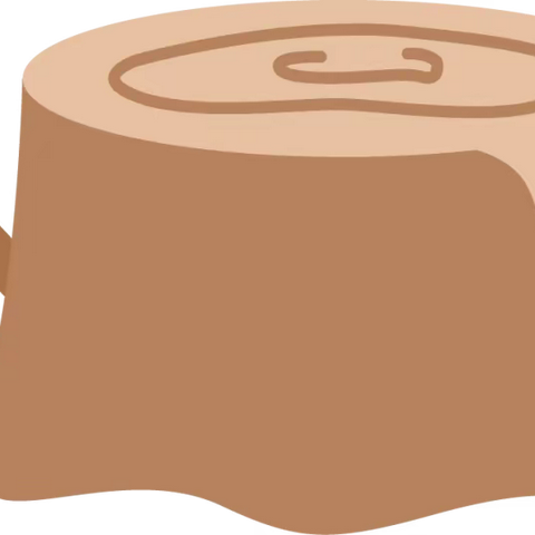 儿童退缩行为的成因