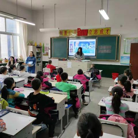 绽放青春——记向阳小学“青年老师汇报课”之“美”篇