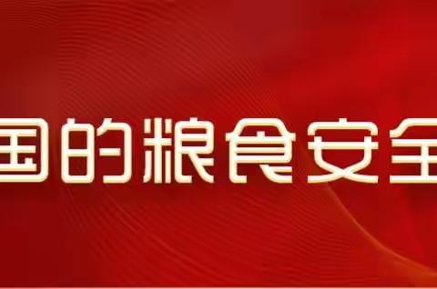 粮食安全浅谈