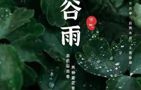 二十四节气———谷雨