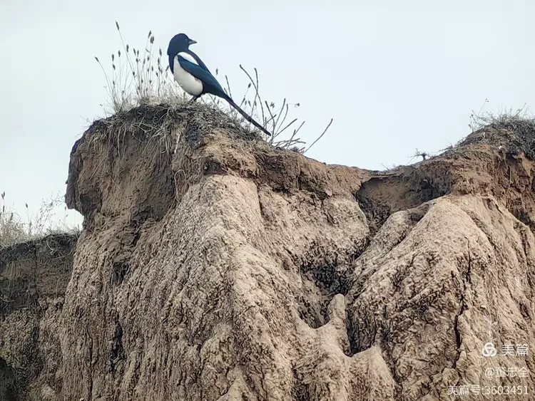 大同土林——独特的地质公园令人赞叹