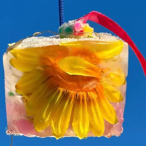 【十二幼•小班组】——冬天里的那些事儿