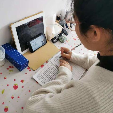 停课不停研    我们在行动                                          ———快乐小书虫