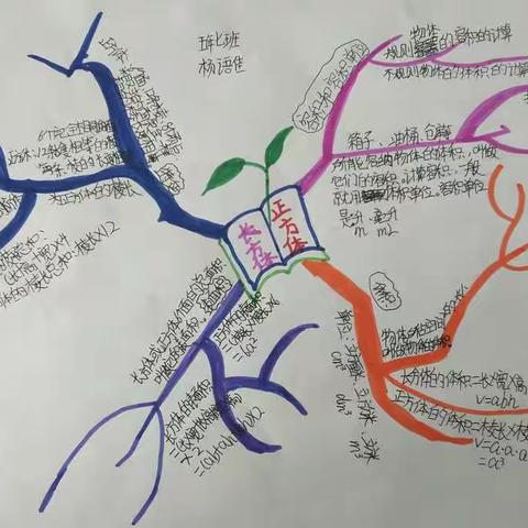 我心中的思维导图――长方体和正方体