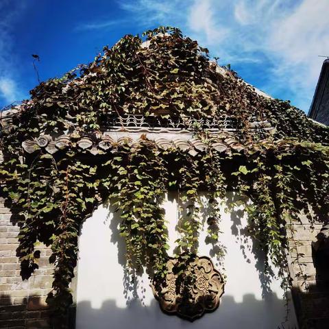 曲水亭街写生以及游览百花洲历史