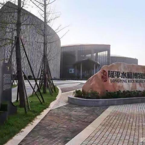 《隆平水稻博物馆》研学记2020级5班6小分队实践活动