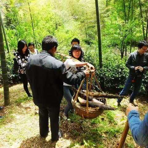 宜兴挖竹笋游