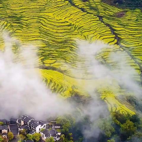 清明周末不涨价！赏万亩金黄梯田，享火遍亲子圈的秘境网红树蛙部落豪华遛娃套餐！