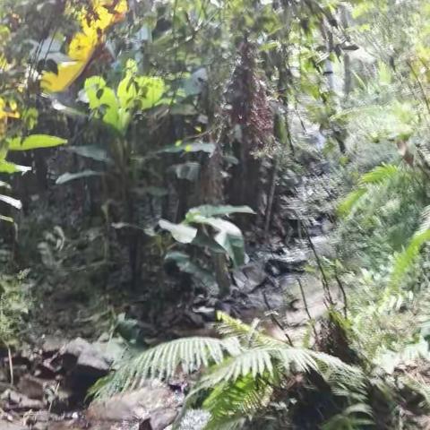 秀村鬼坑美景