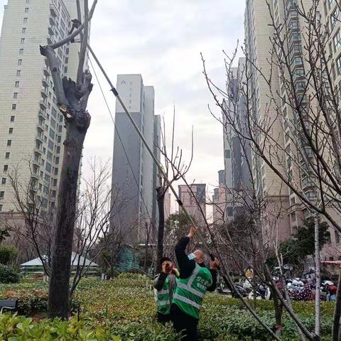 开展人居环境整治  营造整洁宜居家园