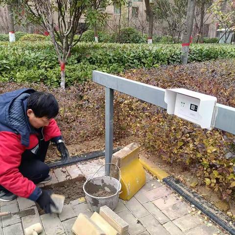 开展人居环境整治，营造整洁宜居家园