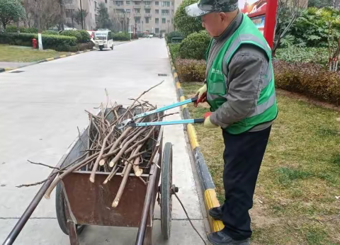 改善人居环境  打造宜居家园