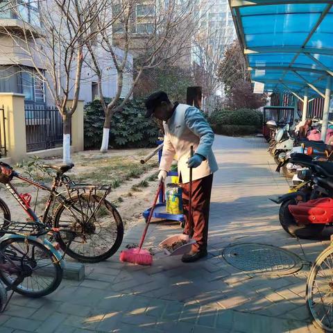 人居环境整治在行动