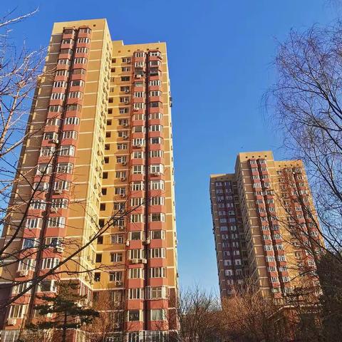 20.03.02阳春三月模式已开启