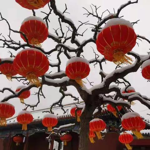 壬寅瑞雪送吉祥