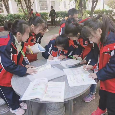 落实双减 一小在行动——校园绿地知多少  动手实践收获多