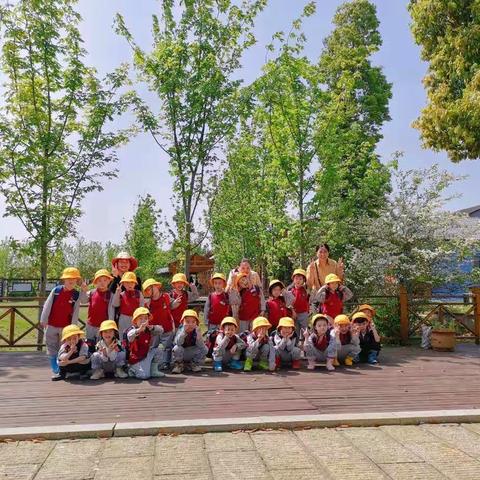 农村大鹅被支配的一天