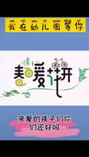 新泰市青云街道中心幼儿园第九天简报