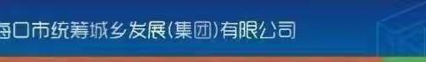 陈忠书记率队调研美兰区沙上港渔船停泊点项目进展情况