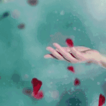 多情只有春庭月，犹为离人照落花。