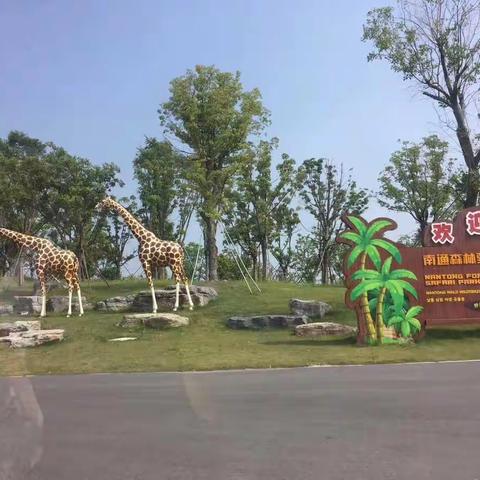 日记——游南通森林野生动物园