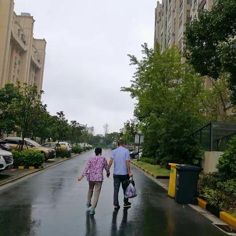 美好总是这样不期而遇