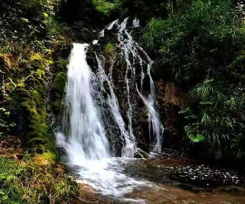 报名啦，报名啦，栾川AAAA景区王府竹海瀑布群一日游！（栾川当天天气多云）