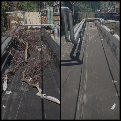 【孝廉闵子骞】提升城市软实力，创建文明典范城