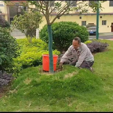 以园林之美敬献惬意生活——华保盛集团防城港边境管理支队物业服务中心