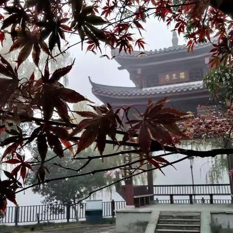 仲春见罗星亭(依韵社长诗)