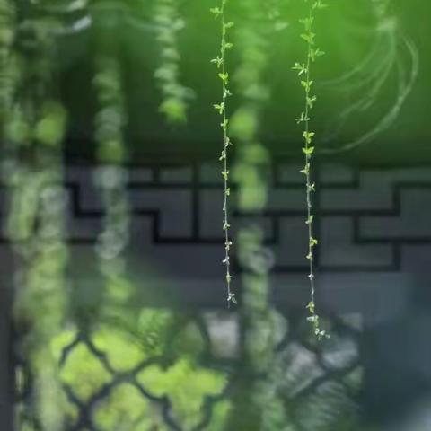 春回人间喜吟