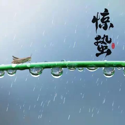 南歌子