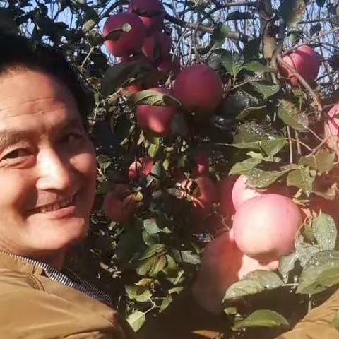 摘苹果的时候__老家堂哥家的苹果园