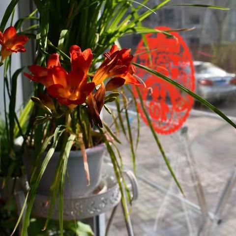 2021春节