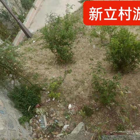 9月21日新立村环境卫生存在问题