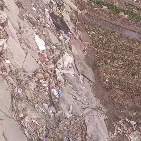 2023年2月东村环境卫生存在问题