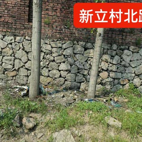 2022年8月3日新立村环境卫生存在问题
