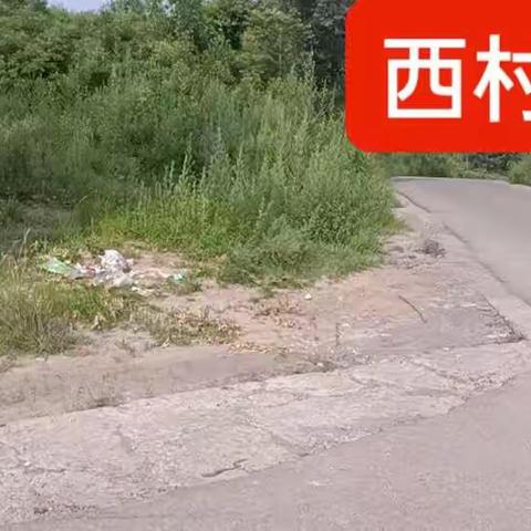 2022年8月3日西村环境卫生存在问题