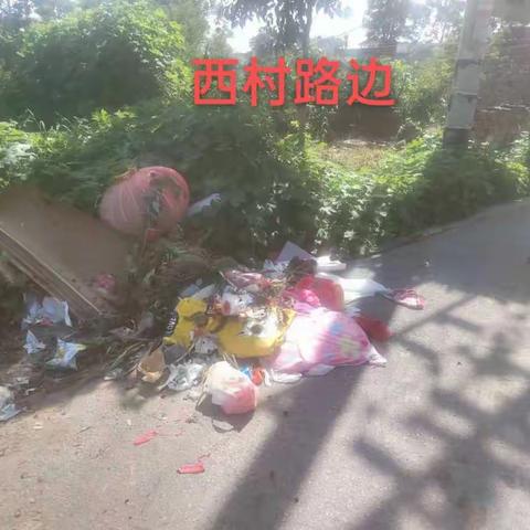 2022年8月19日西村环境卫生存在问题