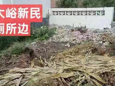 2022年8月3日南大峪环境卫生存在问题