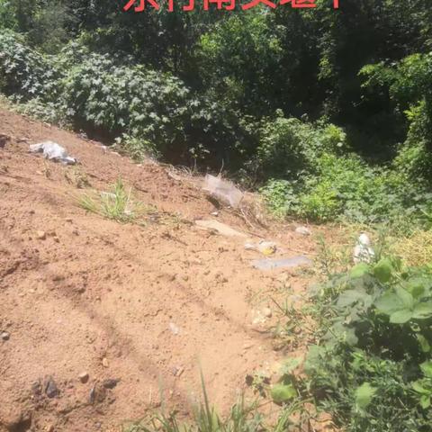 2022年8月19日东村环境卫生存在问题